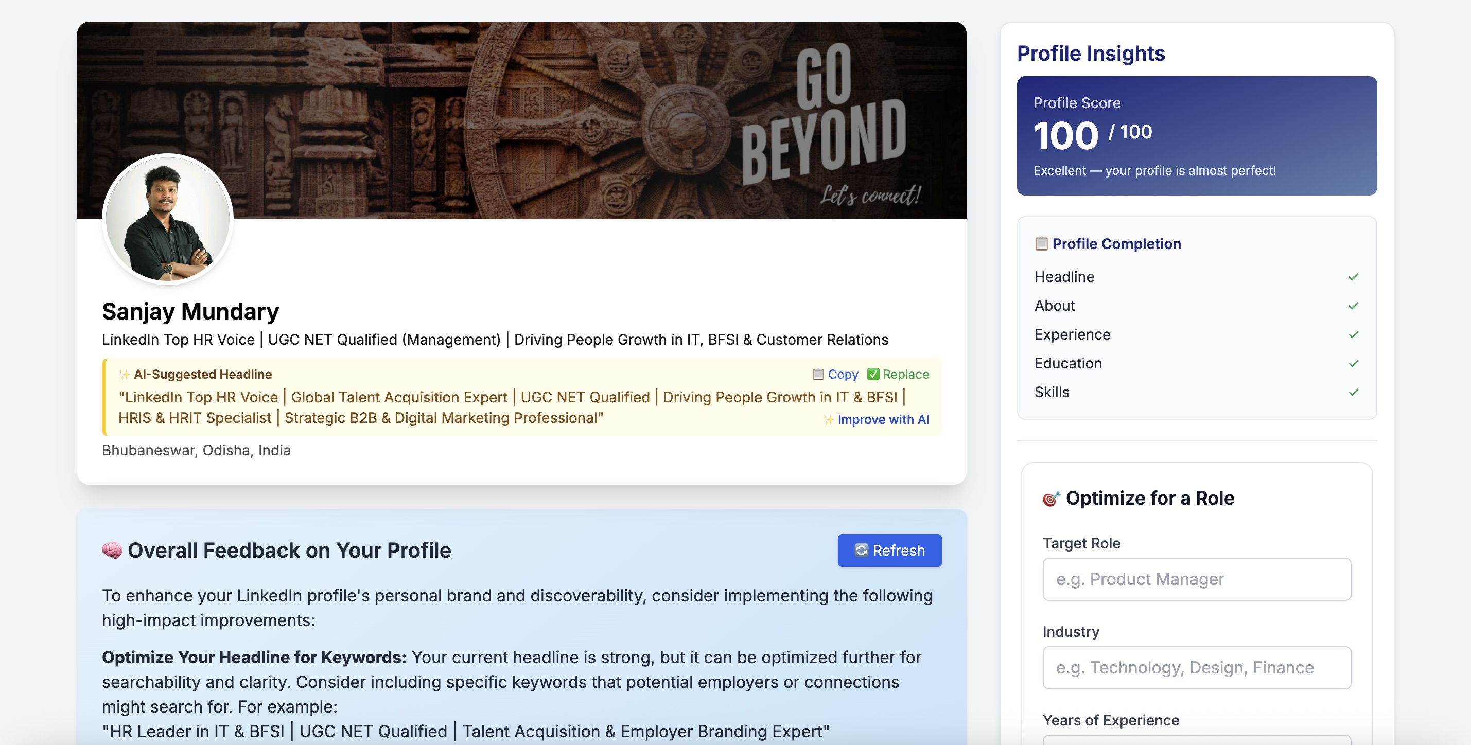 LinkedIn Optimizer Preview